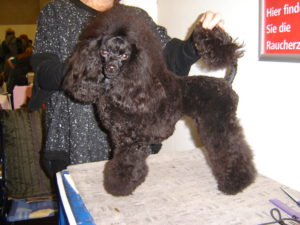 cacib-narnberg-004
